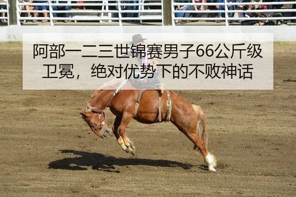 阿部一二三世锦赛男子66公斤级卫冕，绝对优势下的不败神话