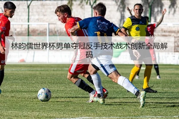 林昀儒世界杯男单夺冠反手技术战术创新全局解码